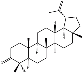 羽扇烯酮,CAS:1617-70-5