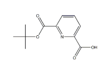 6-叔丁氧基羰基吡啶甲酸，cas575433-76-0