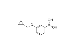 3-环丙甲氧基苯硼酸 cas：411229-76-0