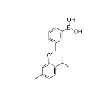 3-[(2-异丙基-5-甲基苯氧基)甲基]苯硼酸 cas：1072951-74-6