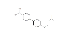 4-(4′-Isopentyloxyphenyl)phenylboronic acid cas:1072951-81-5