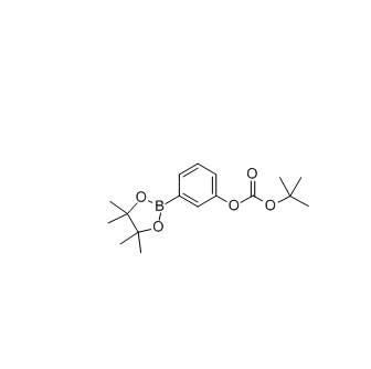 3-(3-丁氧基羰基氧基)苯基硼酸频那醇酯 cas:480438-74-2