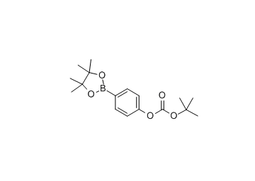 4-（3-丁氧基羰基氧基）苯基硼酸频那醇酯 cas：480438-75-3