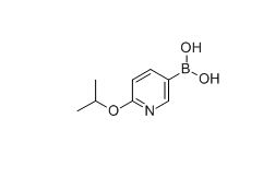 2-异丙氧基吡啶-5-硼酸 cas:870521-30-5