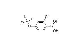 2-氯-4-三氟甲氧基苯硼酸 cas：345226-20-2