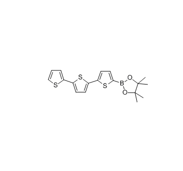 2,2:5,2-三联噻吩-5-硼酸频那醇酯 cas：849062-17-5