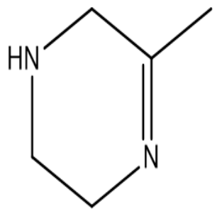 5-甲基-1,2,3,6-四氢吡嗪，cas344240-21-7