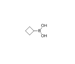 环丁基硼酸 cas：849052-26-2