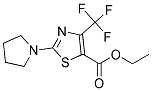 Ethyl 2-pyrrolidin-1-yl-4-(trifluoromethyl)-1,3-thiazole-5-carboxylate,cas:1000339-79-6
