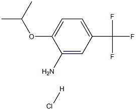2-isopropoxy-5-(trifluoromethyl)iline hydrochloride,cas:473574-83-3