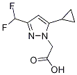 [5-Cyclopropyl-3-(difluoromethyl)-1H-pyrazol-1-yl]acetic acid,cas:1002032-66-7
