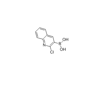 2-氯喹啉-3-硼酸 cas:128676-84-6