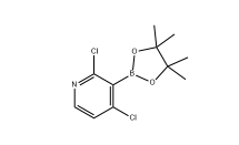 2,4-二氯吡啶-3-硼酸频那醇酯 cas：1257651-49-2