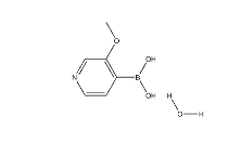 3-甲氧基吡啶-4-硼酸一水合物 cas：1072952-50-1
