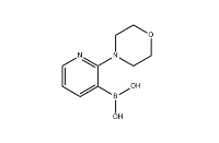 2-吗啉吡啶-3-硼酸 cas：1218790-86-3