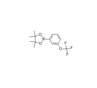 3-(三氟甲氧基)苯硼酸频哪醇酯 cas：262376-31-8