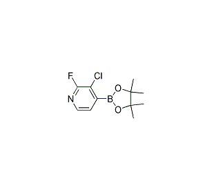 3-氯-2-氟吡啶-4-硼酸频哪酯 cas:1073353-71-5