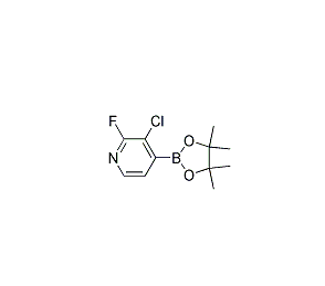 3-氯-2-氟吡啶-4-硼酸频哪酯 cas：1073353-71-5