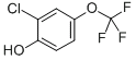 2-氯-4-三氟甲氧基苯酚,cas:70783-75-4