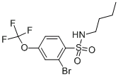 Benzenesulfonamide,2-bromo-N-butyl-4-(trifluoromethoxy)-,cas:957062-76-9