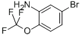 2-三氟甲氧基-5-溴苯胺,cas:886762-08-9