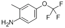 2-甲基-4-三氟甲氧基苯胺,cas:86256-59-9