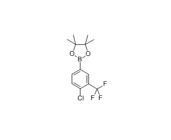 4-氯-3-三氟甲基苯硼酸频那醇酯 cas:445303-09-3