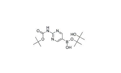 [2-(叔丁氧羰基氨基)嘧啶-5-基]硼酸频哪醇酯 cas：1032758-88-5