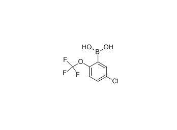 [5-氯-2-(三氟甲氧基)苯基]硼酸 cas：870822-78-9