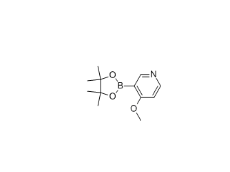 4-甲氧基-3-吡啶硼酸频那醇酯 cas：758699-74-0