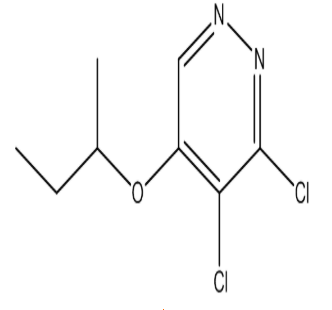 5-(仲丁氧基)-3,4-二氯哒嗪，cas 1346698-02-9