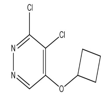 3,4-二氯-5-环丁氧基哒嗪，cas1346698-11-0