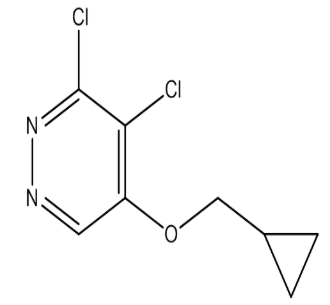 3,4-二氯-5-(环丙基甲氧基)哒嗪,cas1346698-15-4