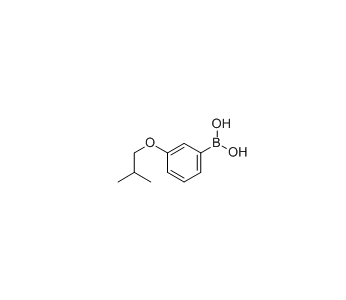 3-异丁氧基苯硼酸 cas：849052-21-7