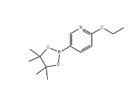 6-乙氧基吡啶-3-硼酸频哪醇酯 cas：1072945-01-7