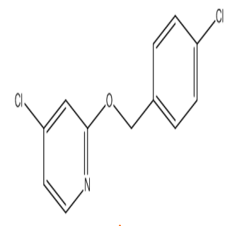 4-Chloro-2-((4-chlorobenzyl)oxy)pyridine，cas1346707-11-6