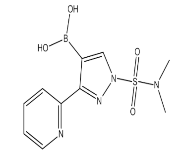 (1-(N,N-Dimethylsulfamoyl)-3-(pyridin-2-yl)-1H-pyrazol-4-yl)boronic acid，cas746668-81-5