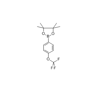 4-（三氟甲氧基）苯基硼酸频那醇酯 cas：474709-28-9