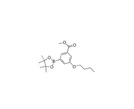 3-丁氧基-5-(甲氧基羰基)苯硼酸频那醇酯 cas：1218789-66-2