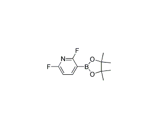 2,6-二氟吡啶-3-硼酸频哪醇酯|cas：1072945-00-6