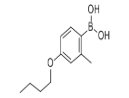 4-丁氧基-2-甲基苯硼酸|cas：845551-43-1