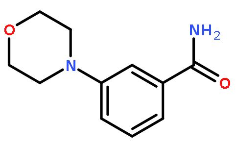 CAS:183557-81-5|3-Morpholinobenzamide
