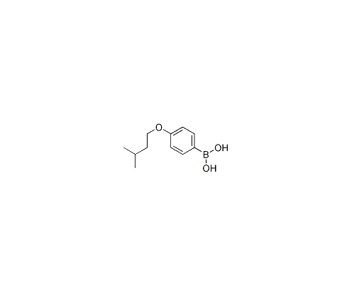 4-异戊氧基苯硼酸|cas:1198156-69-2