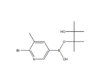 2-溴-3-甲基吡啶-5-硼酸频那醇酯|cas：1256360-64-1