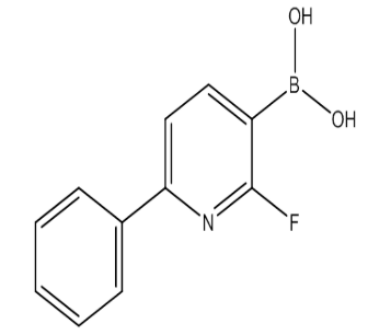(2-Fluoro-6-phenylpyridin-3-yl)boronic acid|cas1029654-19-0