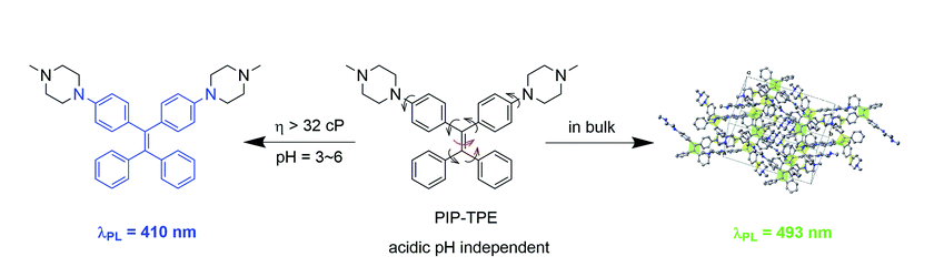 PIP–TPE