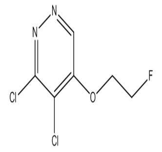 3,4-Dichloro-5-(2-fluoroethoxy)pyridazine|cas 1346698-28-9