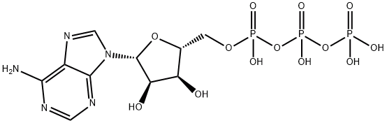 5&#039;-三磷酸腺苷, CAS号： 56-65-5