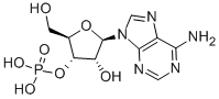 腺苷-3&#039;-磷酸,CAS号： 84-21-9