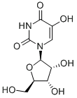 5-羟基尿苷,CAS号： 957-77-7